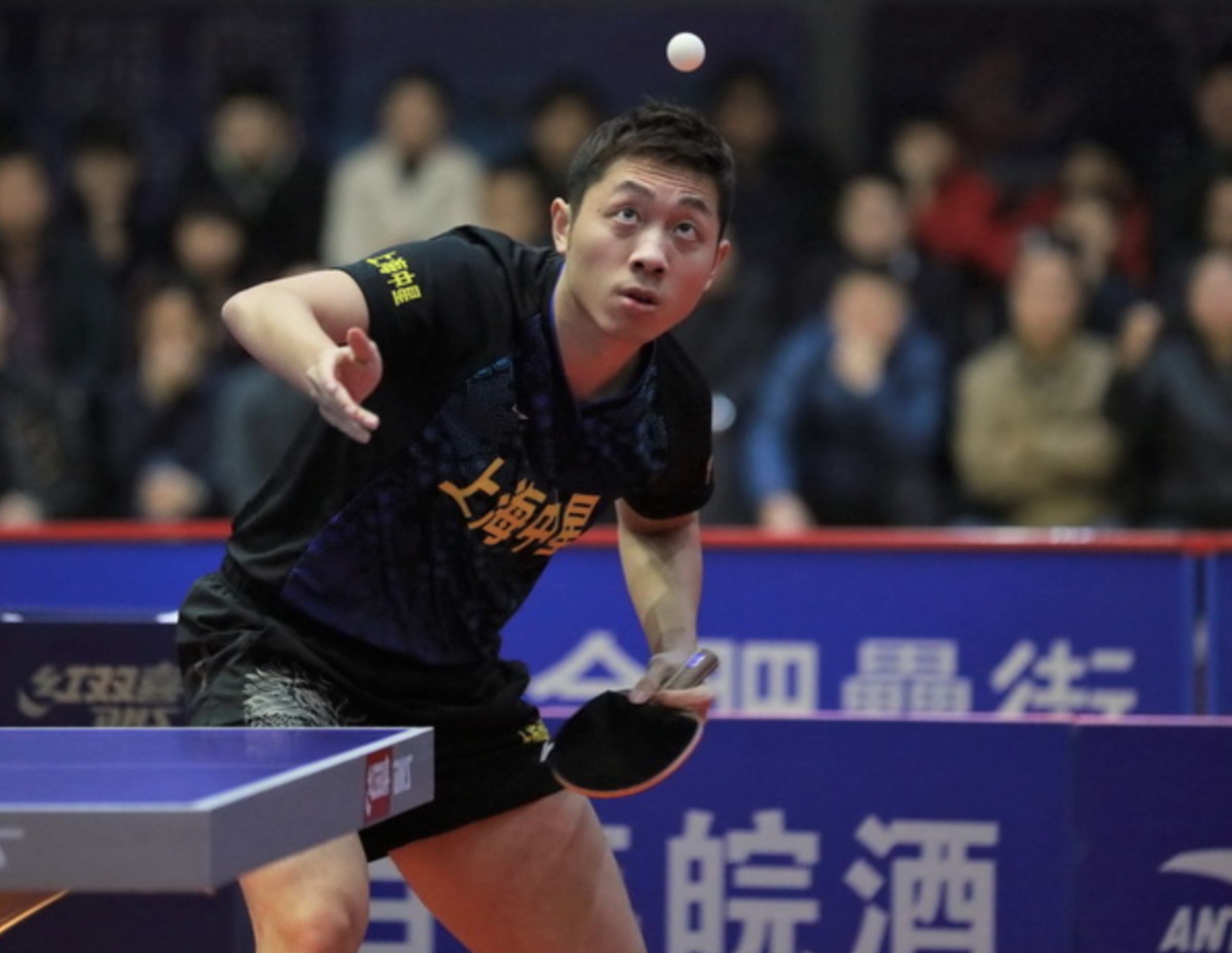爱游戏官网-德国乒乓球队力克奥地利乒乓球队，许昕爆发神勇