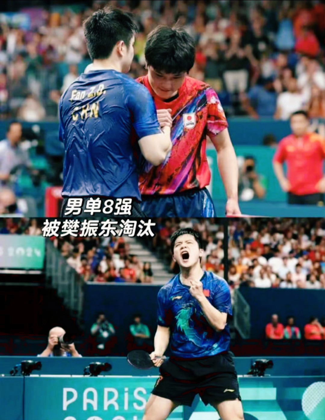 法国队轻取葡萄牙队，张本智和点燃赛场