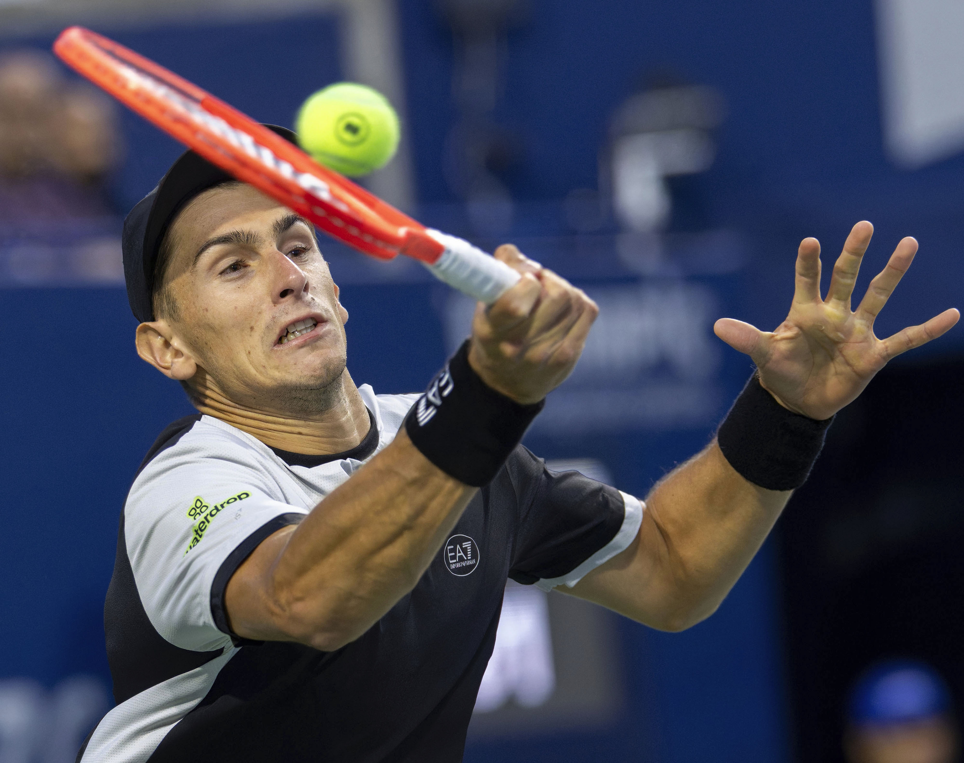 美网轻取戴维斯杯，兹维列夫统治全场