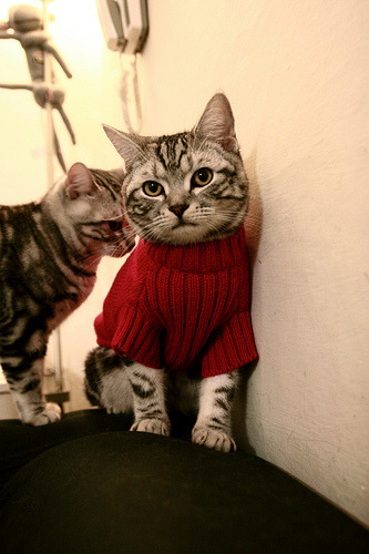 爱游戏官方入口-地狱归来的金属锋鸣，蒂姆的联合杯翻盘与法网未竟的证词