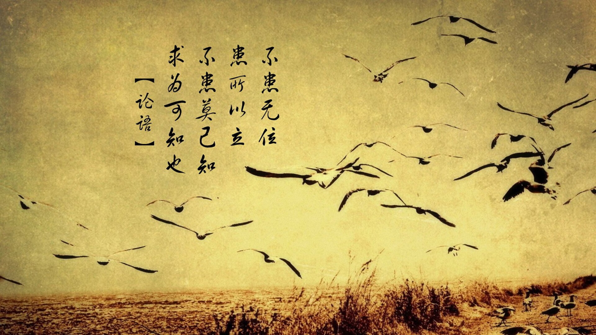 北欧风暴席卷圣西罗！瑞典完胜AC米兰，坎特全能表现铸就经典