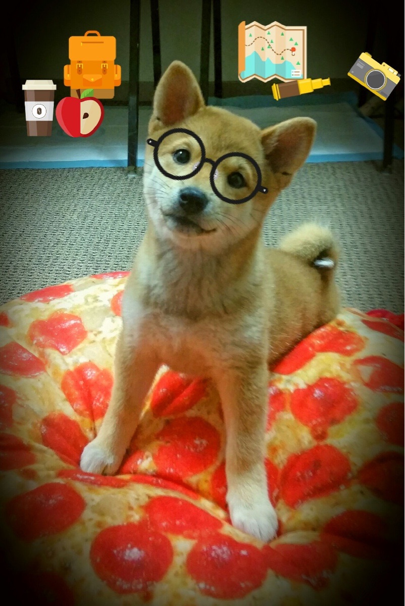 唯一性革命,皮亚斯特里绝境狙击,索伯如何用0.2秒颠覆红牛王朝?