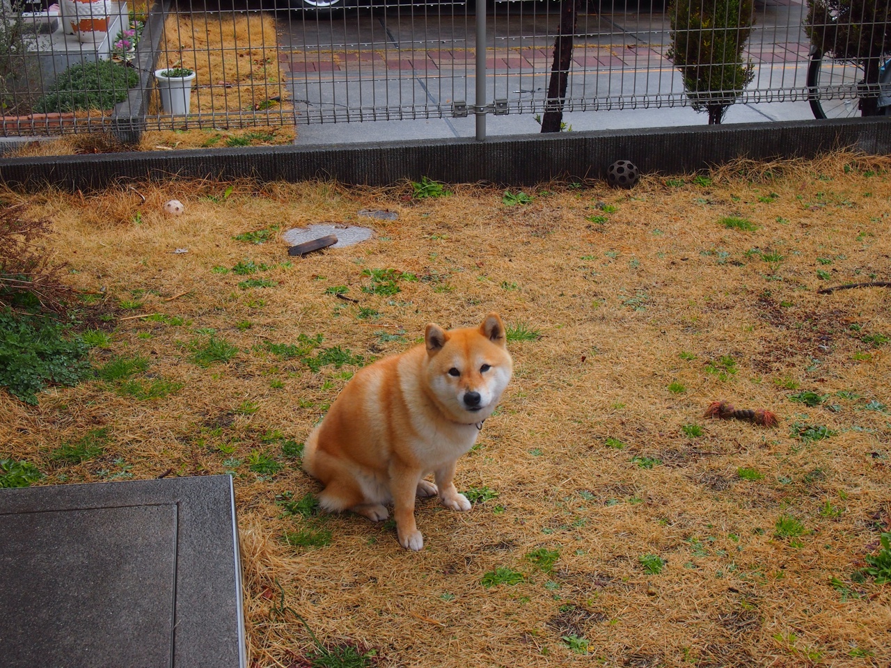 绝境中的王者,阿圭罗闪耀全场,马竞客胜土耳其彰显巨星价值