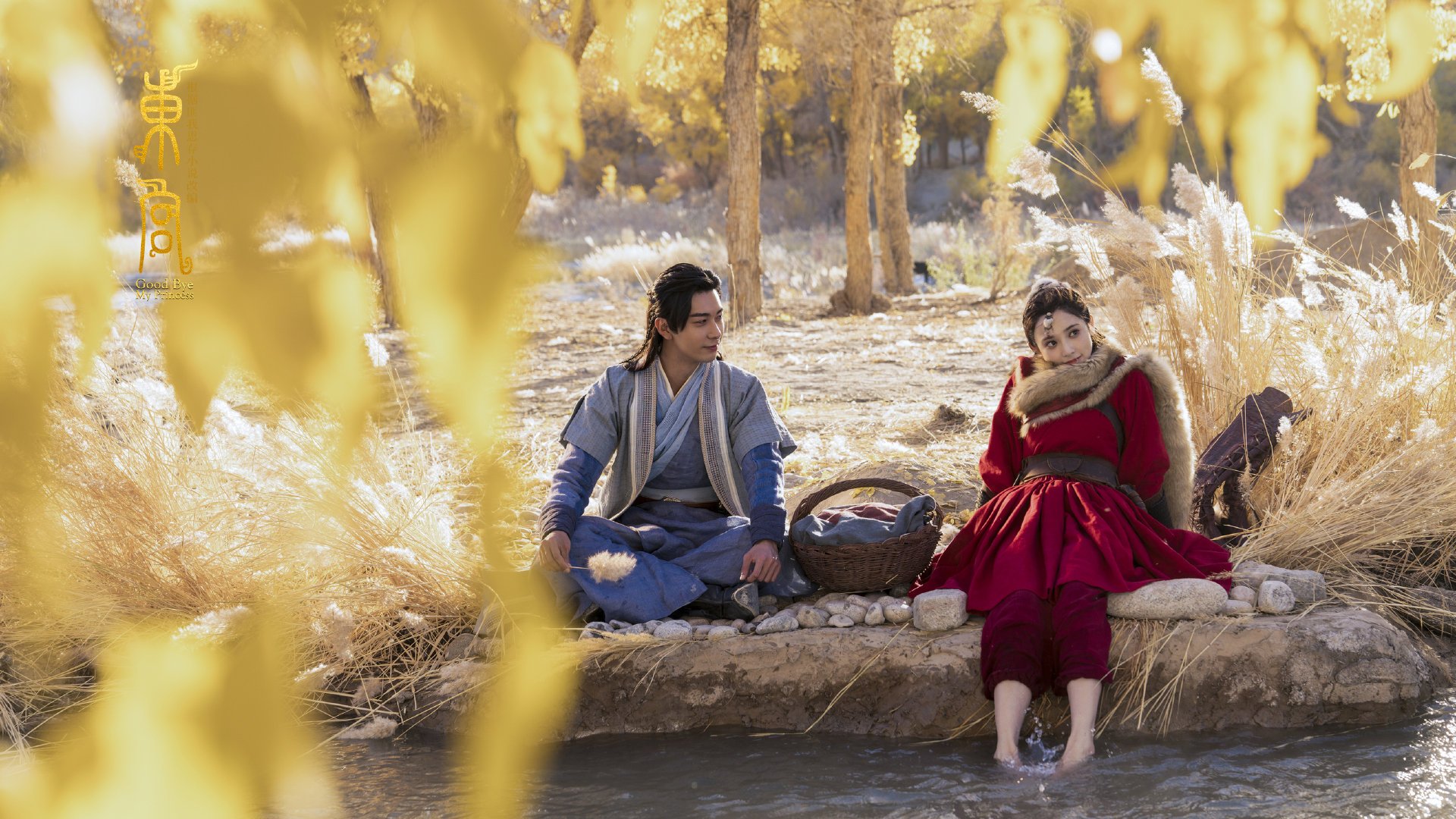 铁血迈阿密团队碾压，璀璨库里星光绝杀—篮球之夜的冰与火之歌