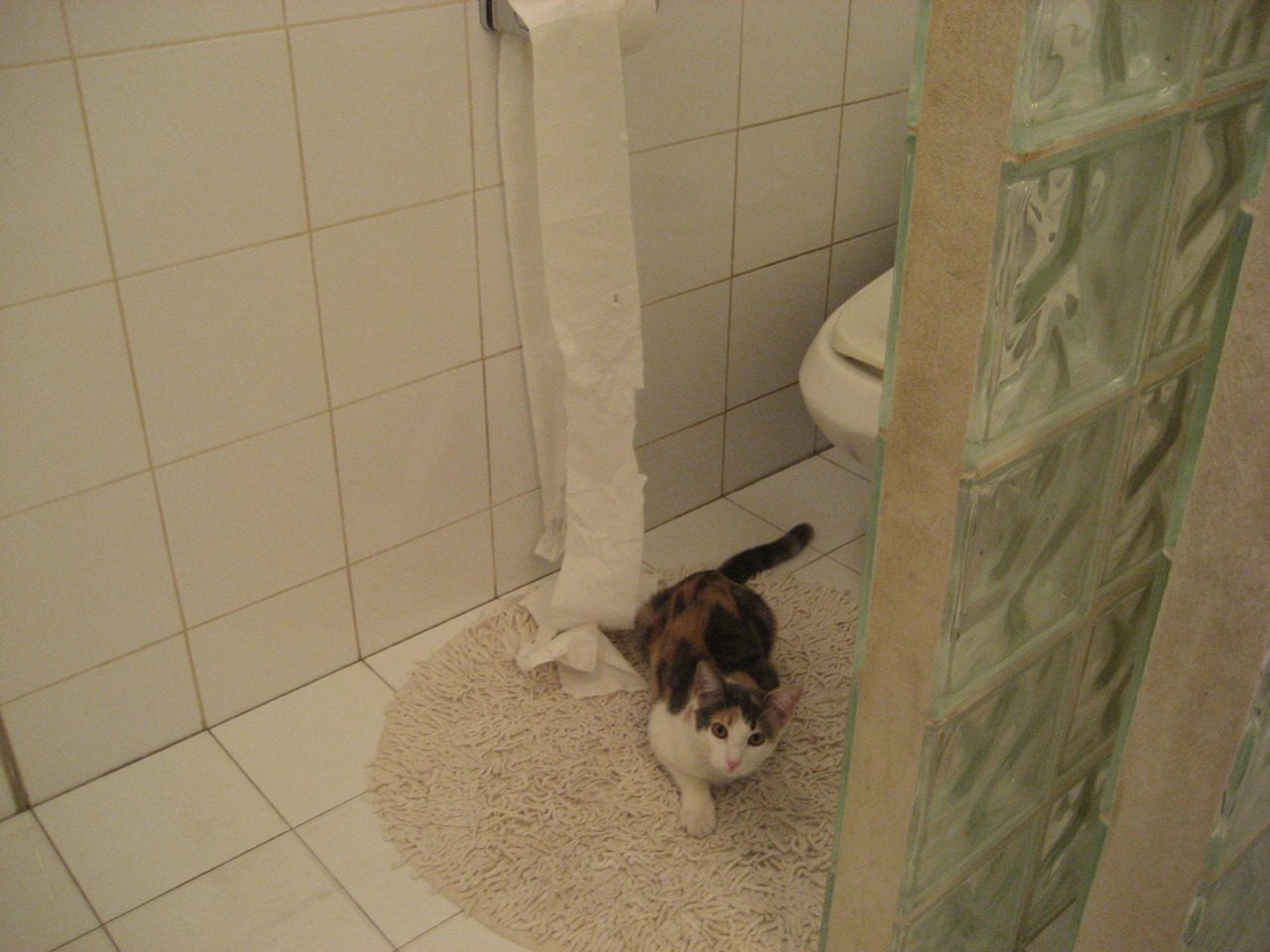 文化跨越的篮球诗篇,当希腊怪兽在东方赛场书写现代神话