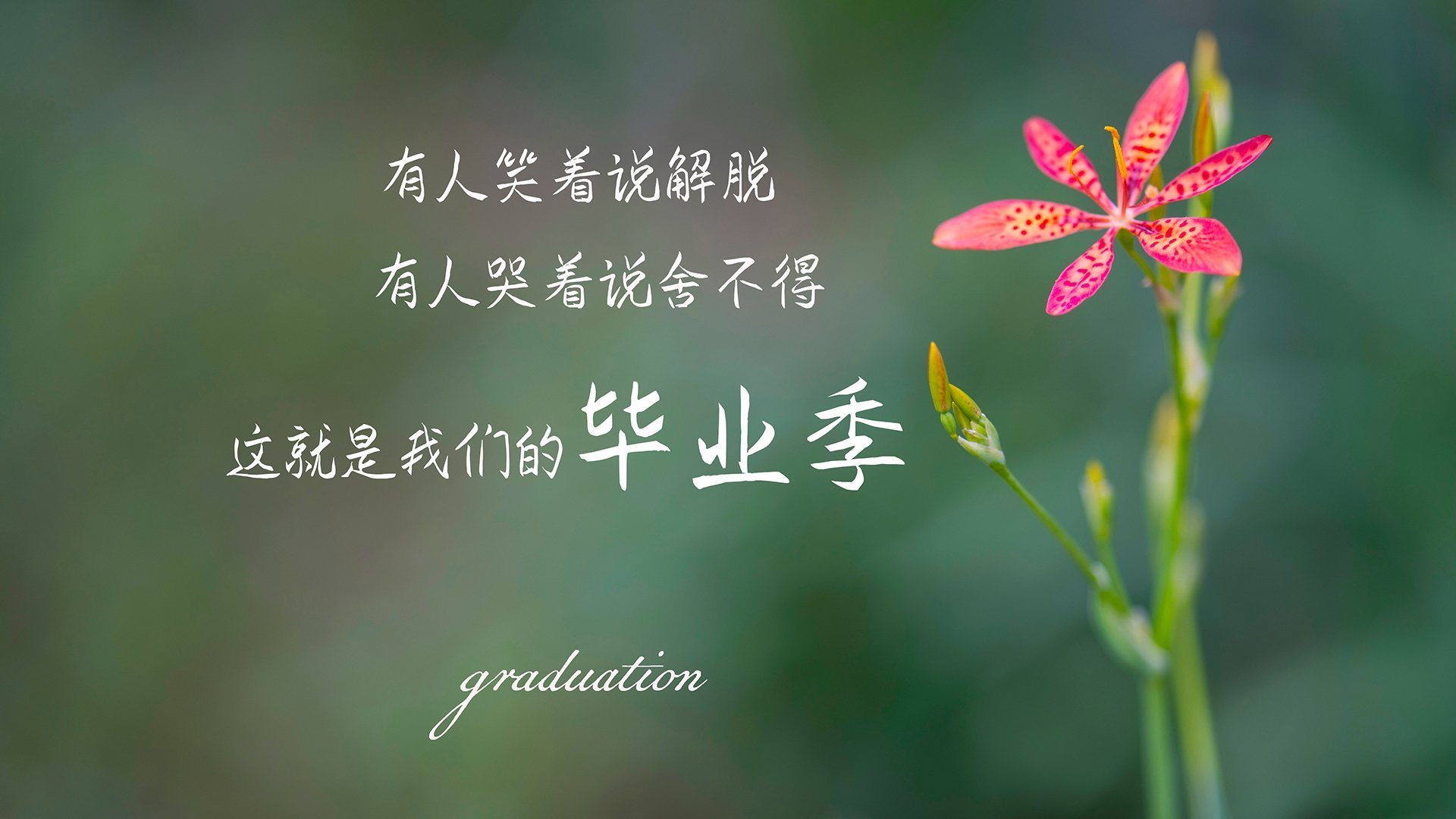 爱游戏官方入口-京多安爆发与伊拉克争冠胜利，足球世界中的个人英雄主义与团队荣耀交响曲