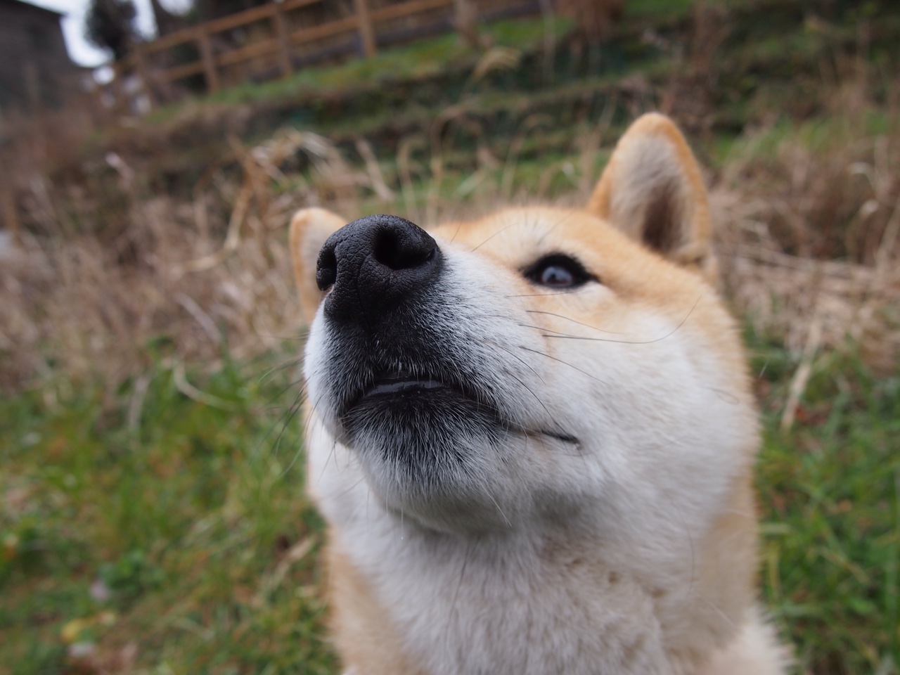 爱游戏-席卷丹佛高原！拉梅洛·鲍尔三双风暴撕裂掘金防线