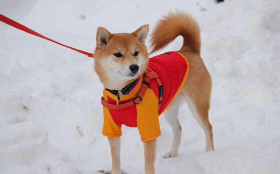 当足球撞上抢七，曼联与黄潜的突然死亡加时