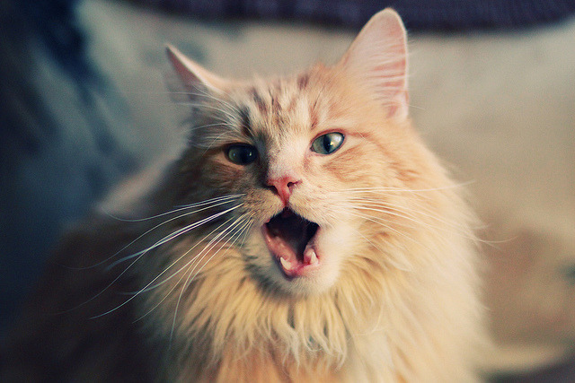 爱游戏官方入口-锡安末节17分暴走难救主！国王窒息防守上演20分大逆转，鹈鹕客场饮恨