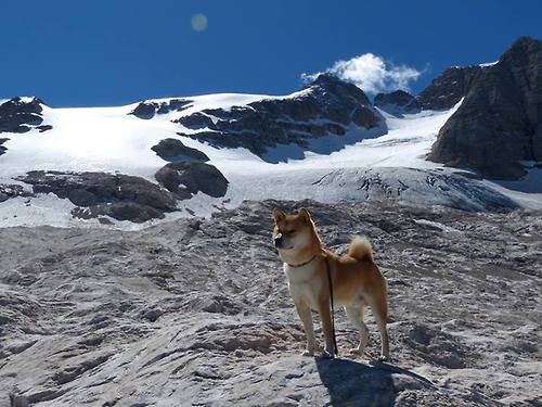 爱游戏入口-海拔之战，从玻利维亚高原到芬兰冰原的足球哲学