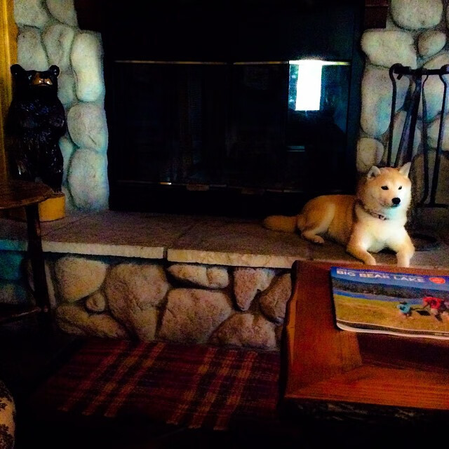 欧冠决赛焦点战，墨西哥美洲队碾压马德里竞技，创造历史奇迹