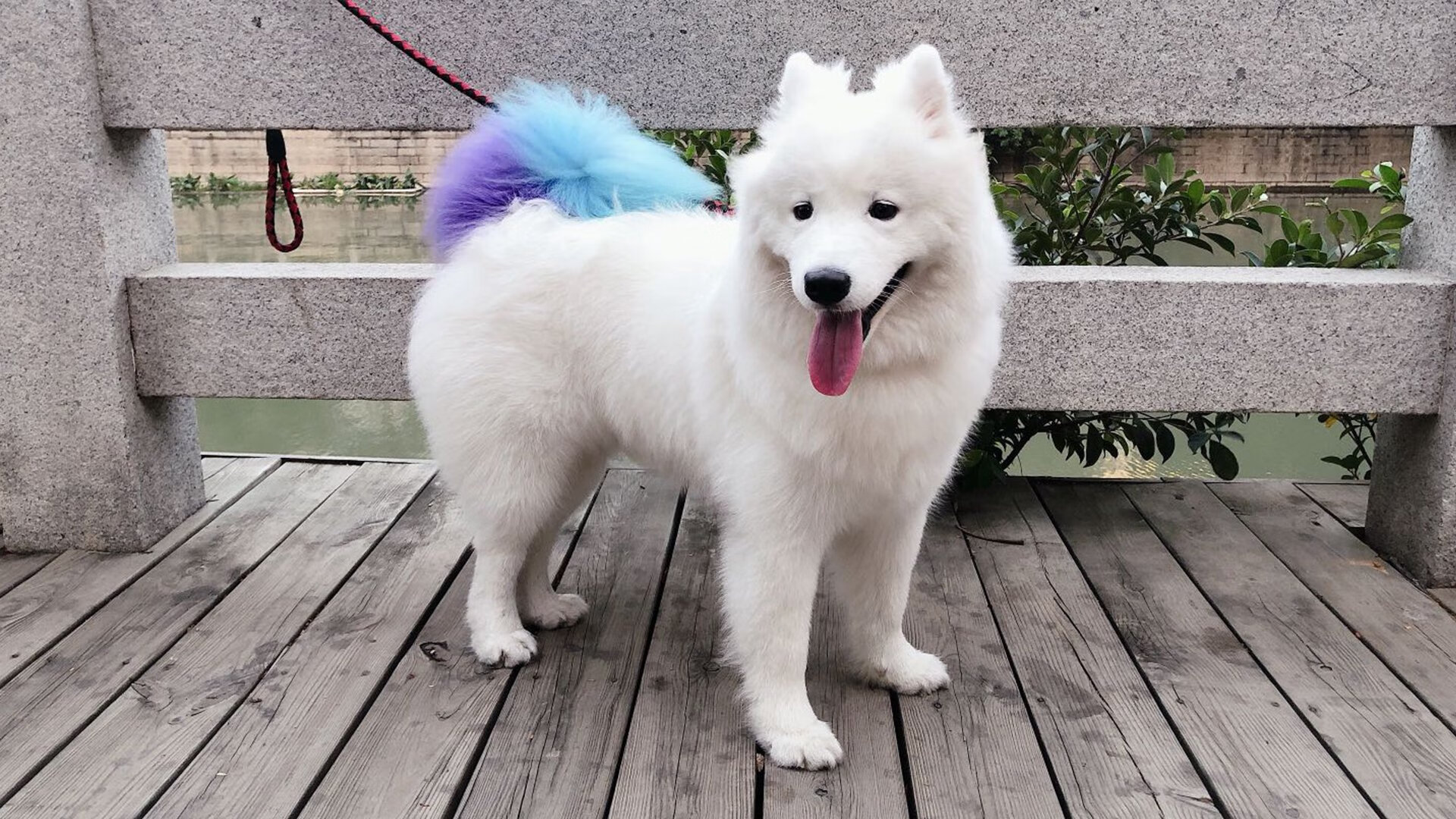 反常规制胜，吉林绝境翻盘，小贾伦末节15分化身奇兵