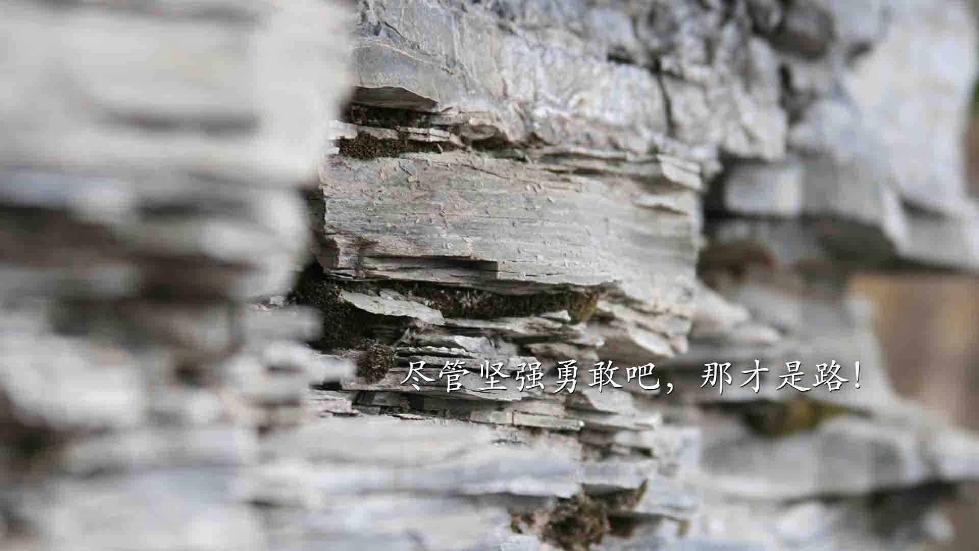 钢铁防线，从NBA总决赛到加纳封锁埃及的地缘博弈