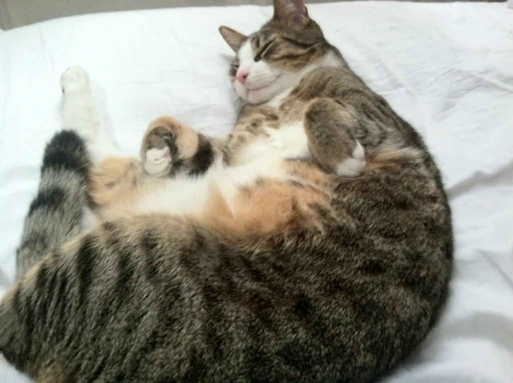 蛰伏于数据深海中的引擎，爱德华兹如何成为F1新赛季揭幕战的攻防转换核心