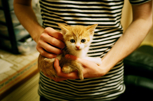 跨界焦点,意甲巅峰战与西班牙篮球单节统治伊朗的体育启示