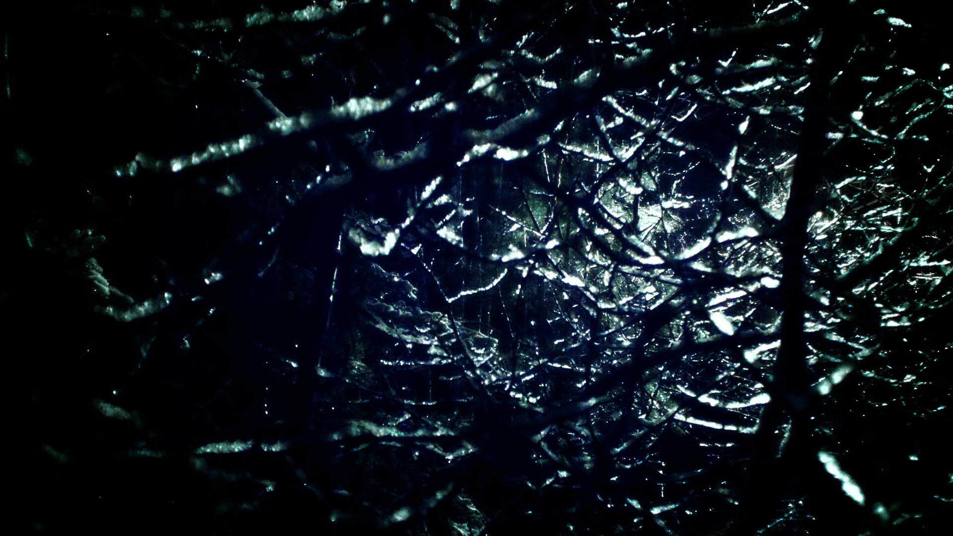 血洗联合中心！奇才狂胜公牛，伦纳德末节独砍19分成关键先生