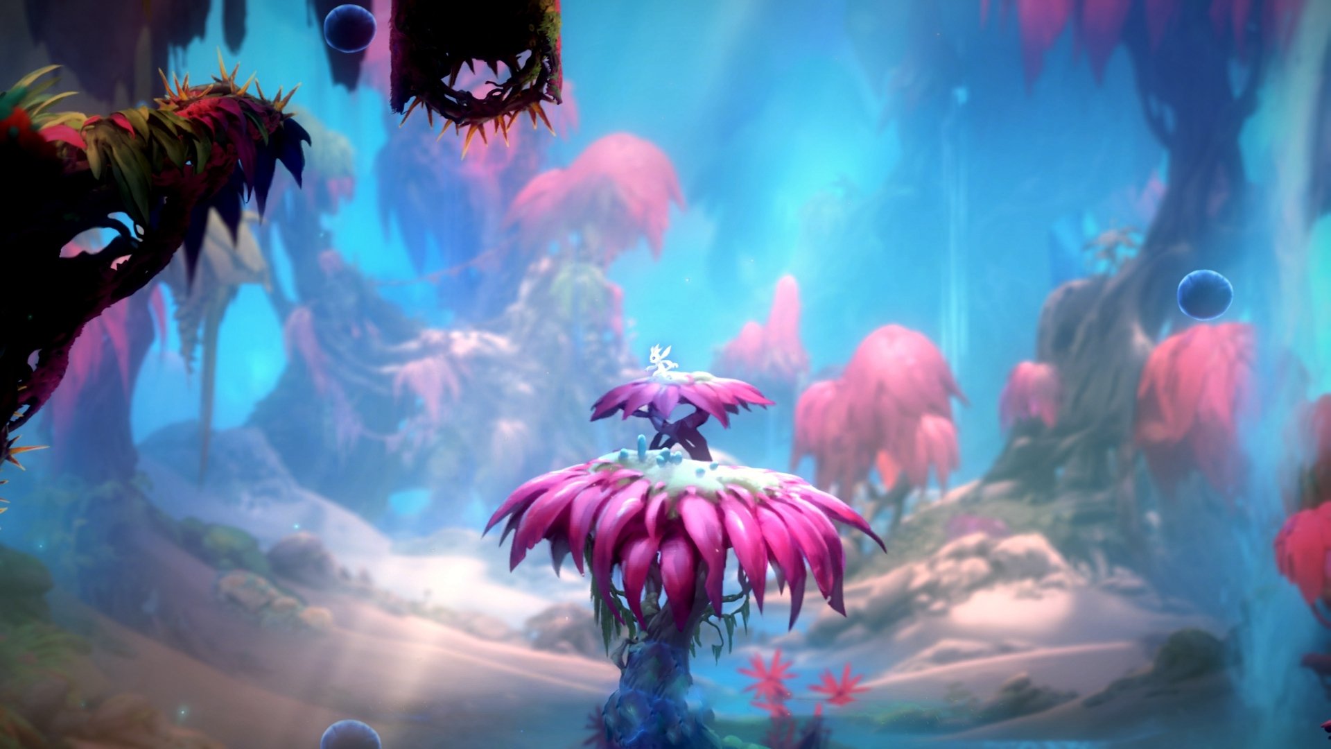 佩德里降临德甲？勒沃库森对阵拜仁一战，见证不可能的惊艳