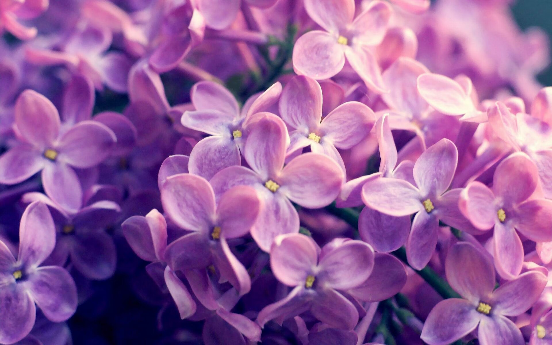 双城记，英超争冠夜的狂野呐喊，与梅西的寂静风暴