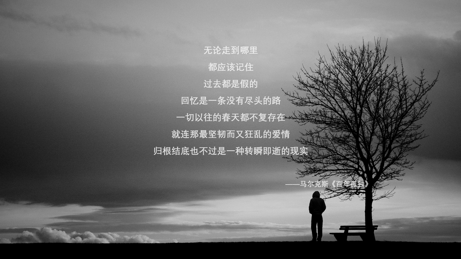 暗夜中的光,2026世界杯D组,厄瓜多尔绝杀葡萄牙,福登的孤独光芒照亮了一个时代的黄昏