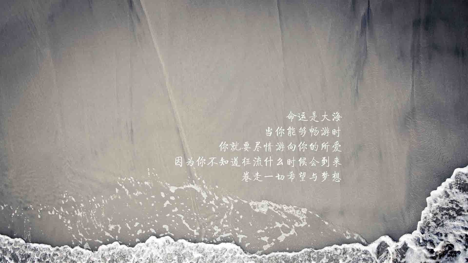 中场定乾坤,当加维的节拍器响起,波兰在2026世界杯E组上演钢铁风暴