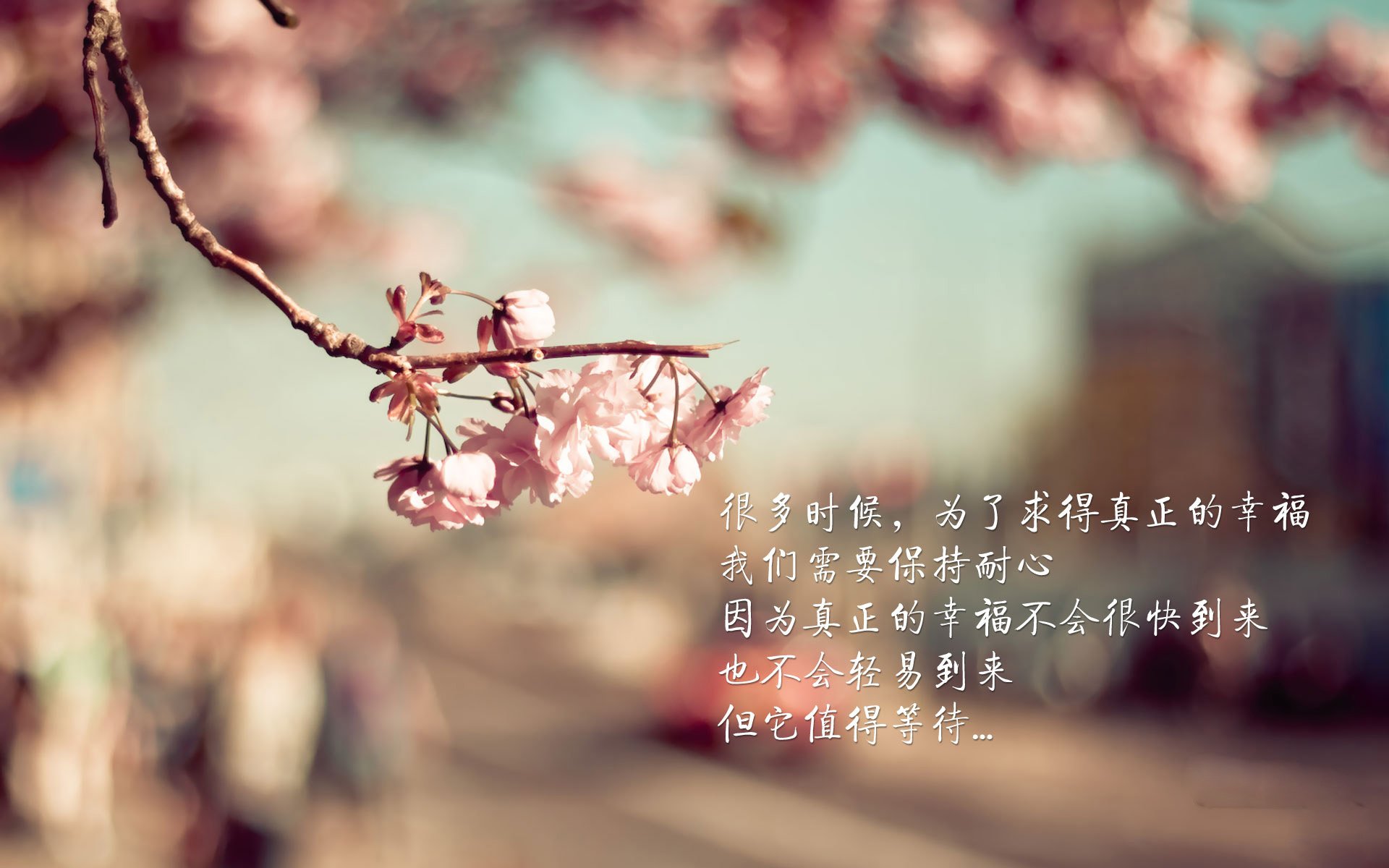 首尔夜未眠,奥斯梅恩独造三球,韩国队10人逆转保加利亚,2026世界杯揭幕战封神